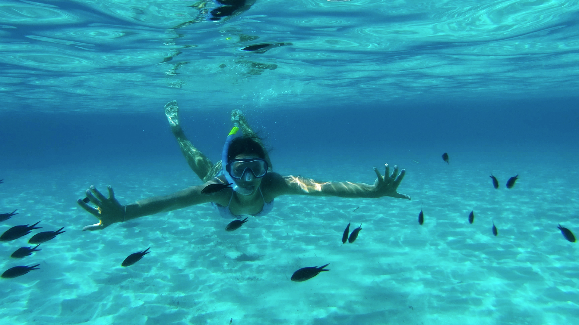 L'isola blu, Lampedusa
