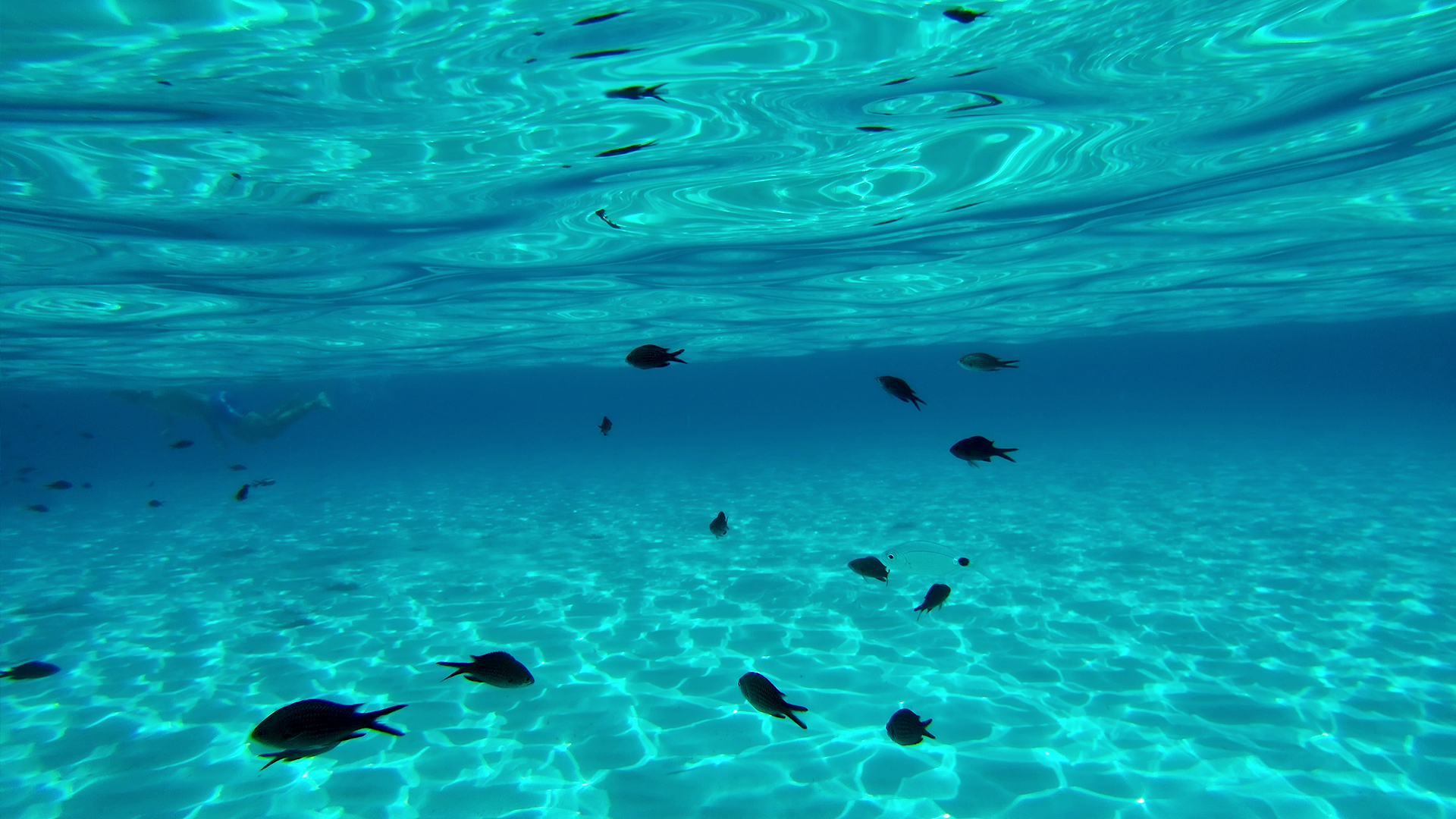 L'isola blu, Lampedusa
