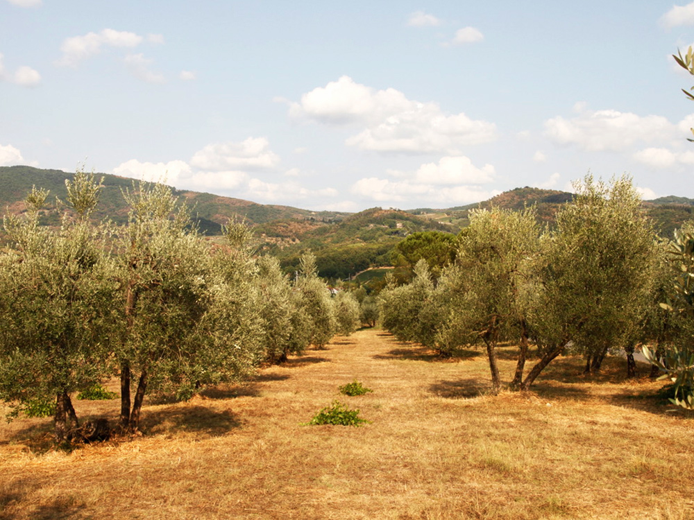 Un weekend romantico tra i colli Toscani