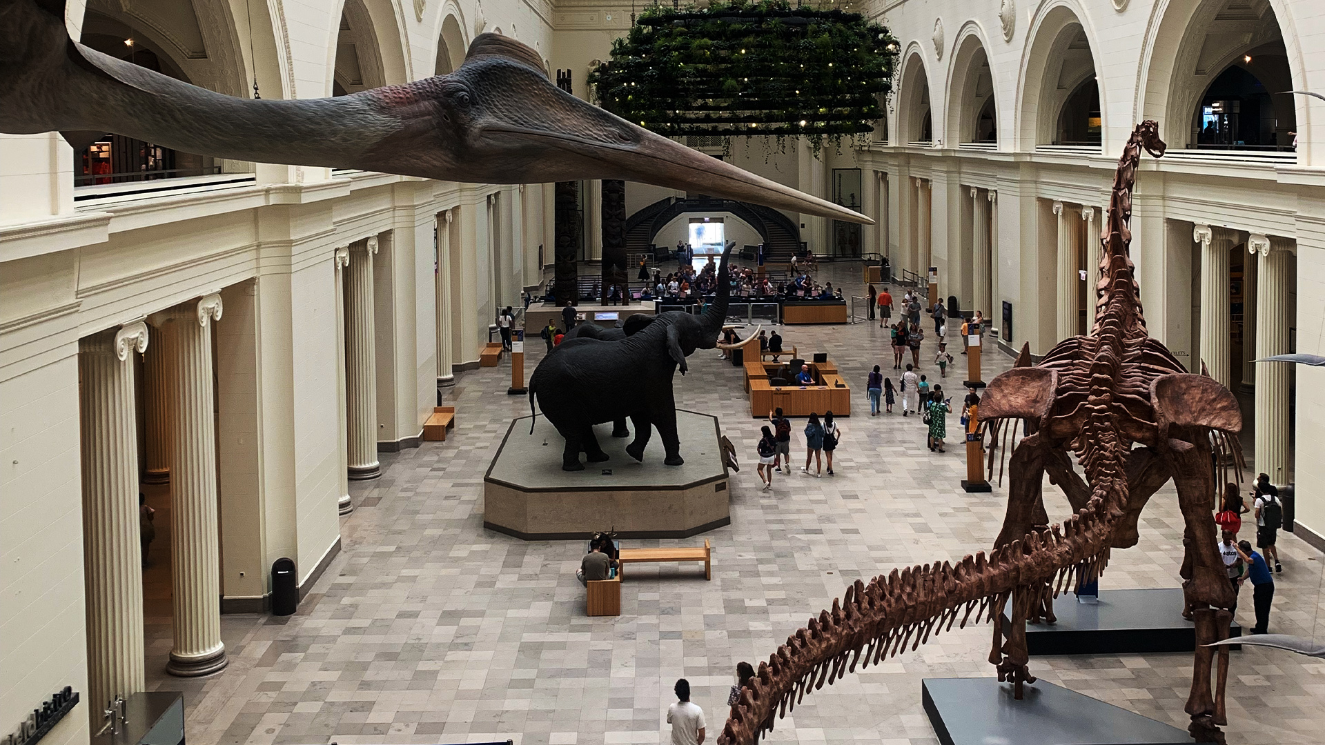 11 cose da non perdere a Chicago, The windy city