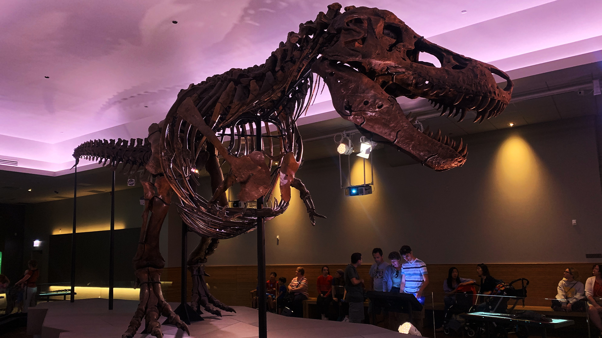 11 cose da non perdere a Chicago, The windy city